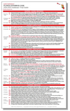 Florida Evidence Code Summary Trial Guide (Digital Download)
