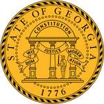 Georgia Rules of Evidence Summary Trial Guide